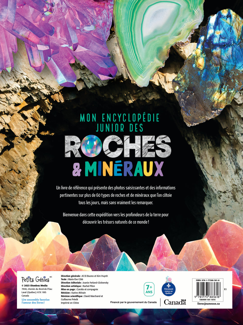 Collections de minéraux et roches du monde FUNique - Funique - Boutique en  ligne de jeux et matériel pédagogique de sciences au Québec, Canada
