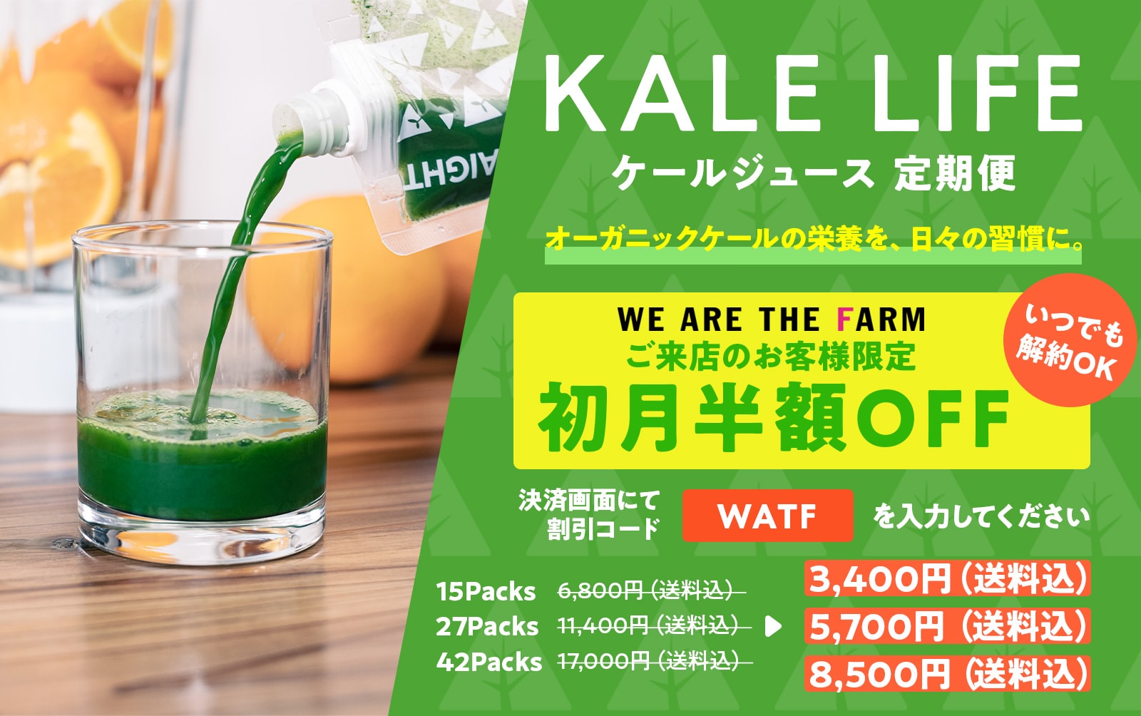 KALE LIFE ケールジュース定期便 無農薬・無化学肥料のケールを搾汁し57種の栄養素を凝縮したケールジュース