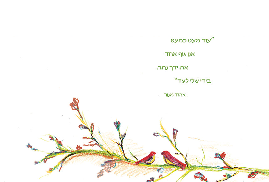 מור ורומם - חתונה - קדמי