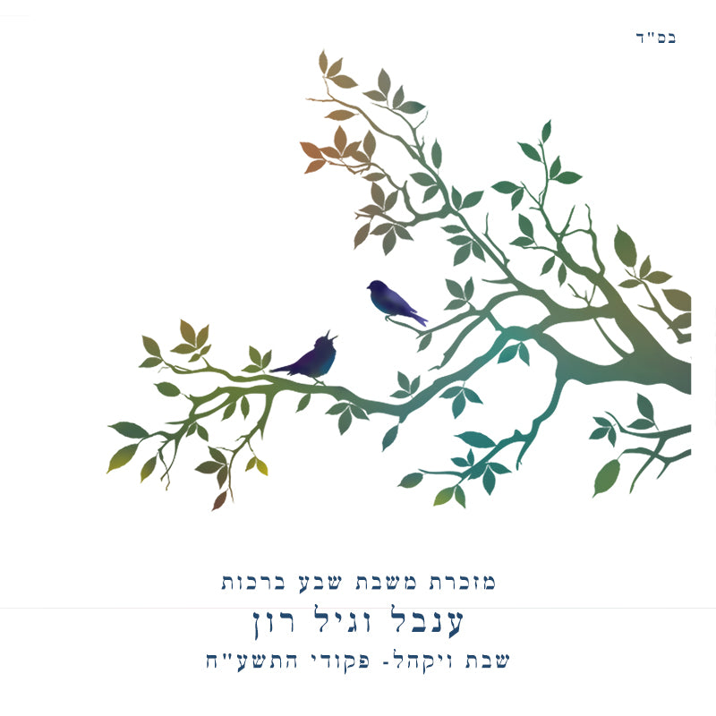 ענבל וגיל - חתונה - ברכון