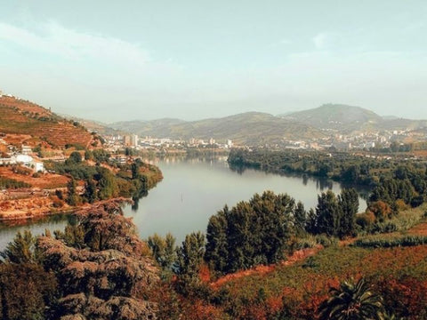 Vallée du Douro, Tourisme au Portugal