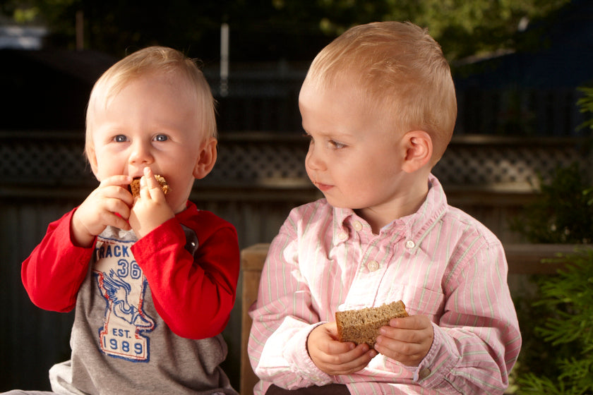 Babies Eating Mufins with Baby Brain Organics