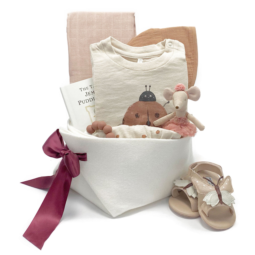 Diddle Dinkety Baby Gift Basket