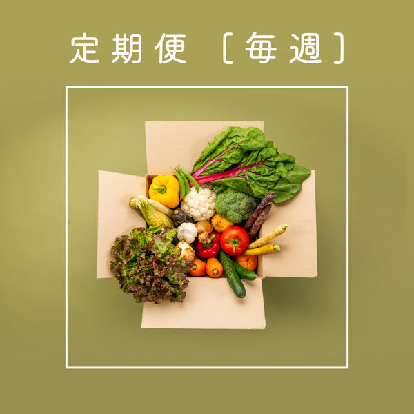 本店は Fresh Vegetables 新鮮野菜 四角袋 巾 200mm ｘ 縦335mm
