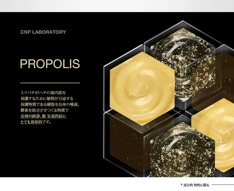 CNP チャアンドパク プロポリ エネルギー アンプル 韓国コスメ 美容液 保湿