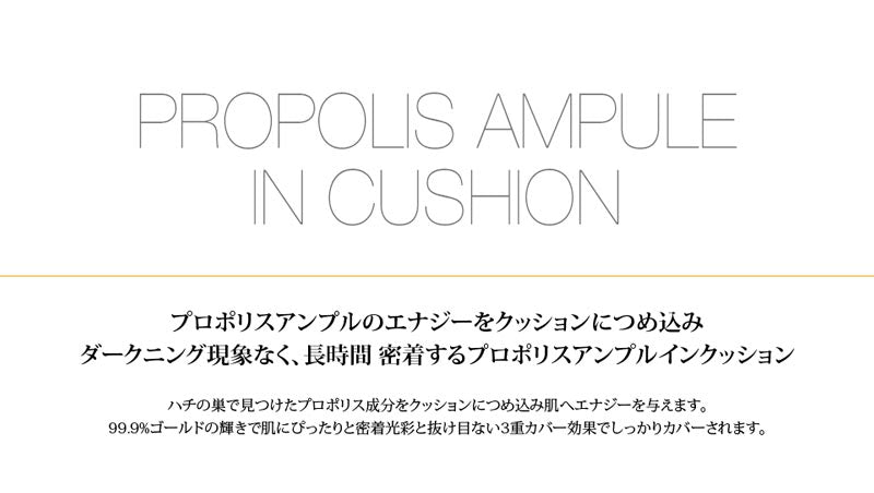 CNP チャアンドパク プロポリス アンプル クッション ファンデーション メイクアップ 韓国コスメ