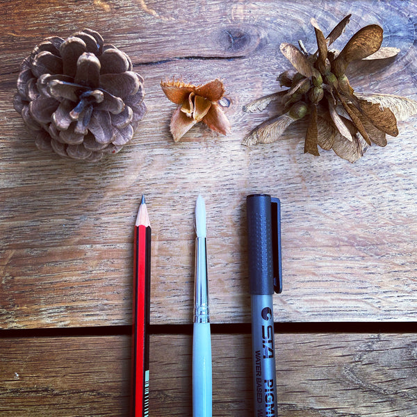 pencil, paintbrush and fineliner with autumnal objects on a wooden background.
