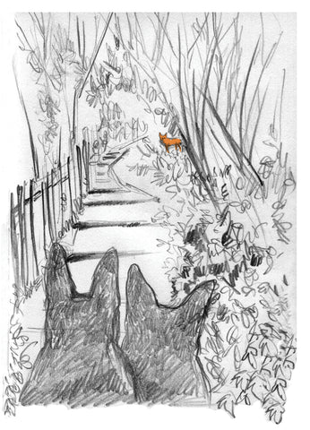 Preliminary sketch of woodland scene by Suzanne Pink