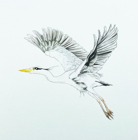 Watercolour and ink Heron painting commission by Suzanne Pink