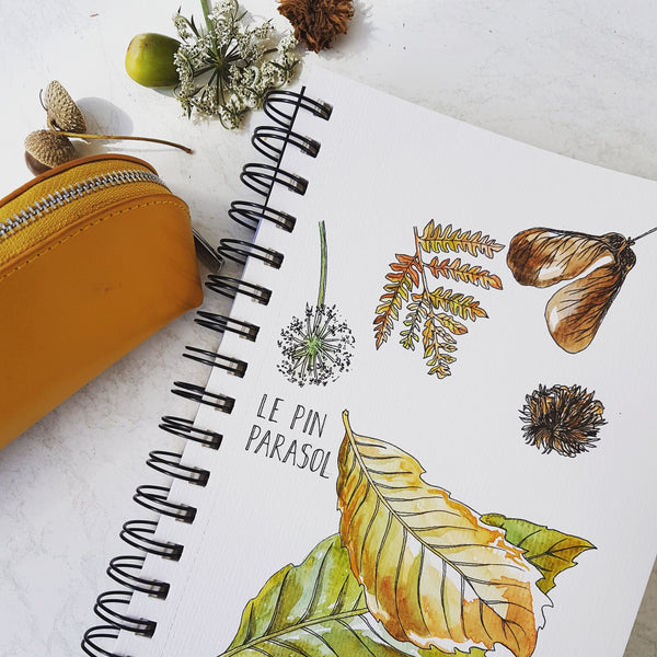 Nature sketches in watercolour and ink, in a ringbound sketchbook with a mustard coloured pencil case next to it