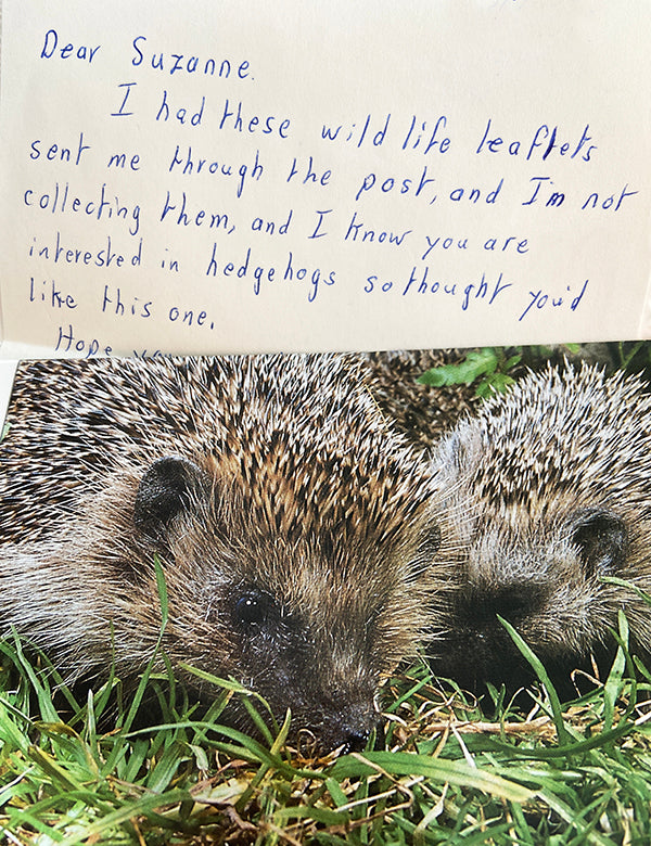 Handwritten letter with hedgehog leaflet enclosed