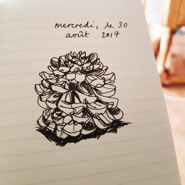Sketch of a pinecone with the date in French