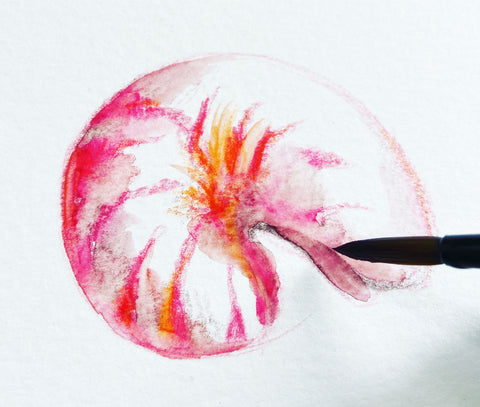 Pink and orange shell painted using watercolour pencils.