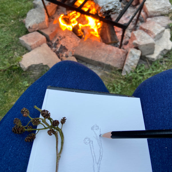 watercolour pencil sketch of natural object in front of a campfire