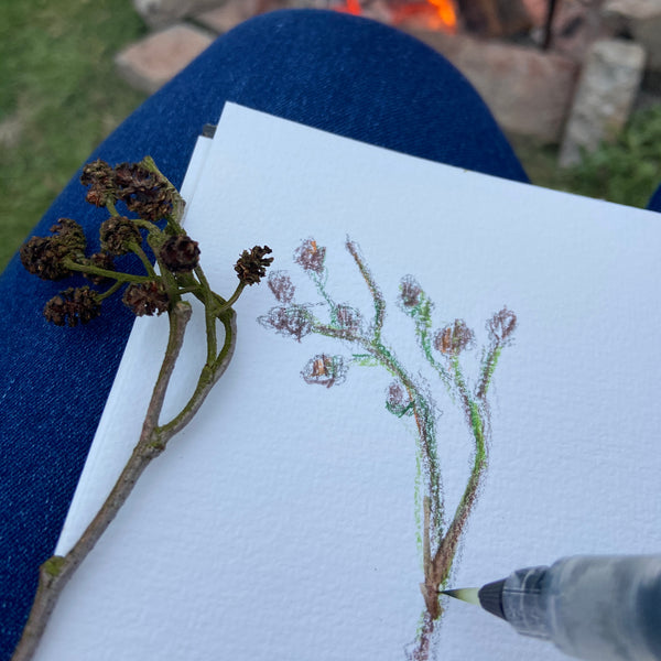 Watercolour pencil sketch with water being added using a water brush, in front of a campfire