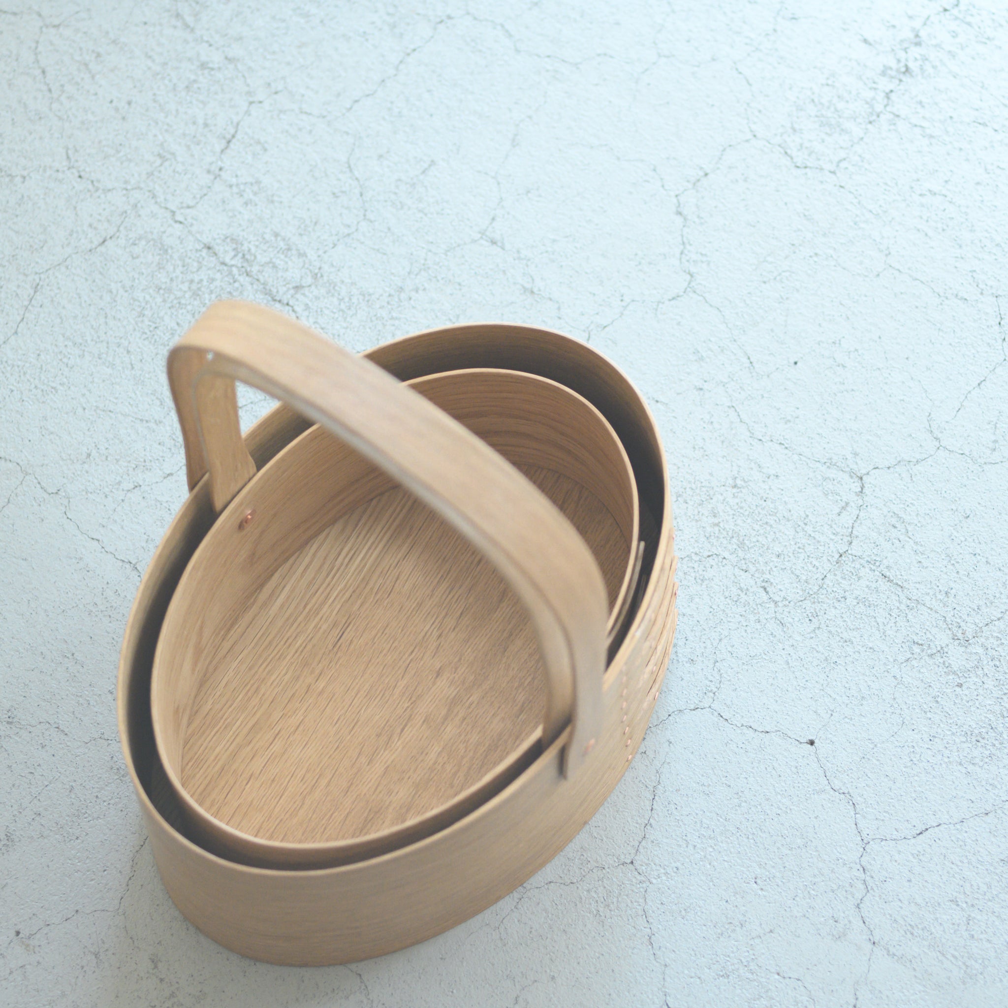 IFUJI BOXMAKER｜Oval Carrier