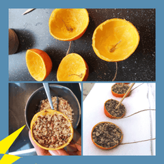 Meisenknödel selbst herstellen mit Orangenschalen 