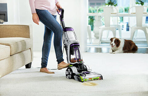 How To Clean Dog Pee From Carpet Image 4