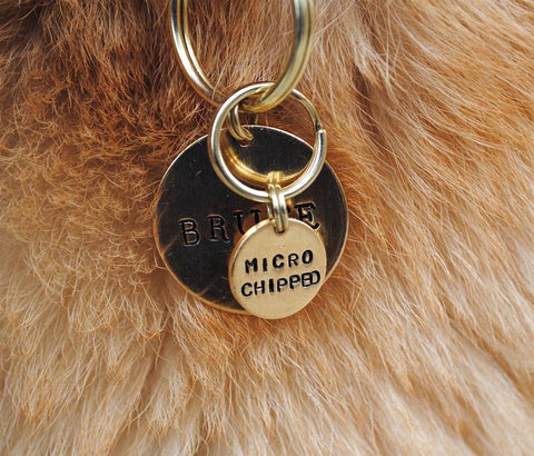 Perfect Customized Gifts For Pet Lovers Image 5