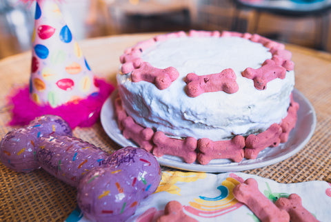 Top 5 Easy Dog Birthday Cake Recipes in 2021 Image 2