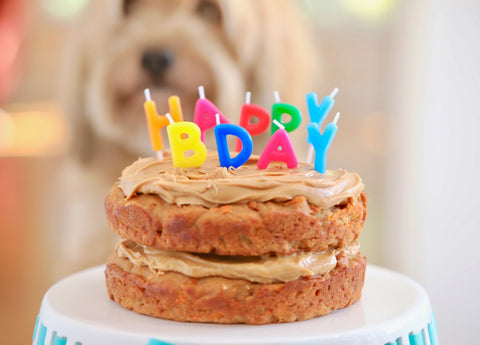 Top 5 Easy Dog Birthday Cake Recipes in 2021 Image 3