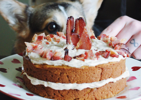 Top 5 Easy Dog Birthday Cake Recipes in 2021 Image 4