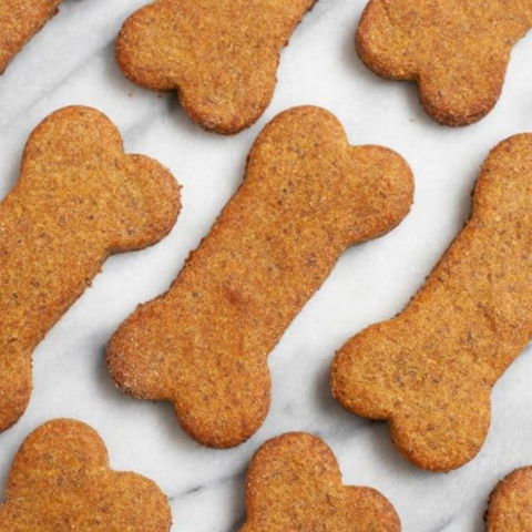 5 Best Homemade Dog Treat Recipes 