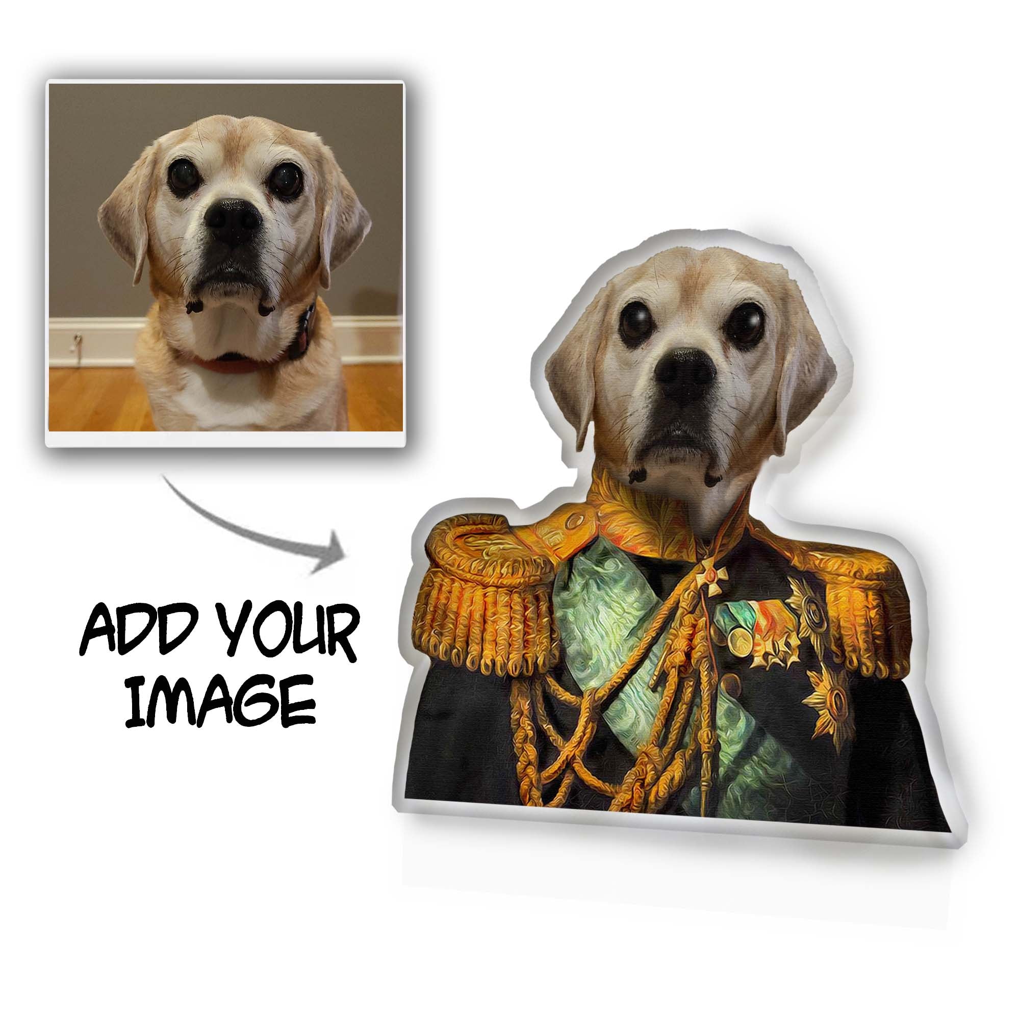 Image of The Centurions Custom Pet Pillow  ADD YOUR IMAGE 