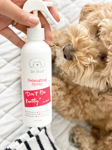 best detangler for golden doodles