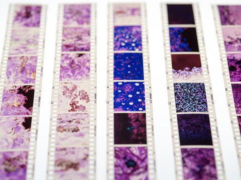 lucky straps best film labs in australia