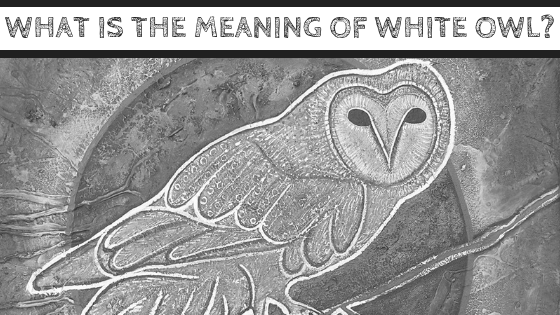 native american owl symbol meaning