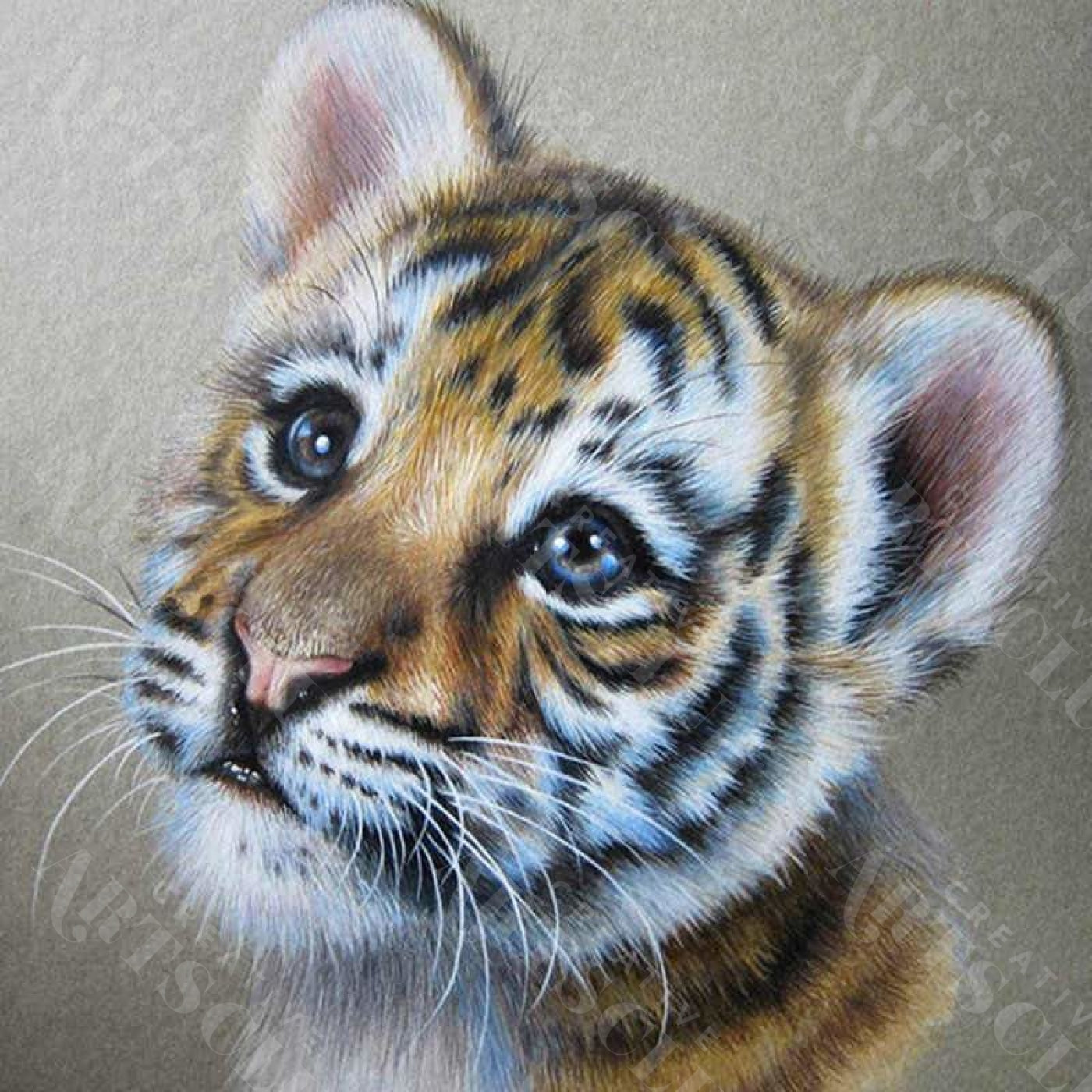 Diamond Painting, Süßer kleiner Tiger, 5D Diamant Malerei Bild, Set mi