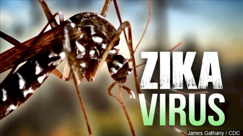 Zika Virus Sexually Transmitted In Florida Cdc Recommends Condoms 