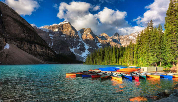 trendy destination alberta 2022