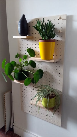 Pegboard Plants