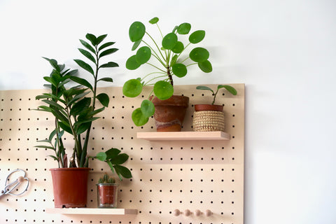 Zoom on a Green Wall with Pegboard