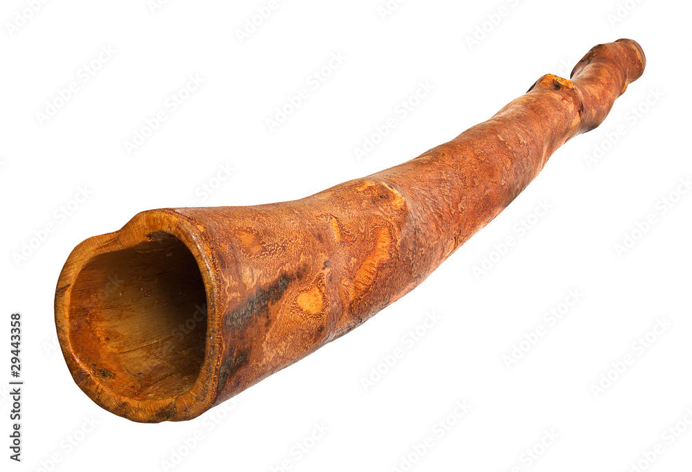 Didgeridoo aborigène