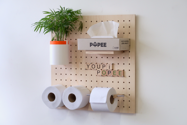 Alternatives to toilet paper found around the world