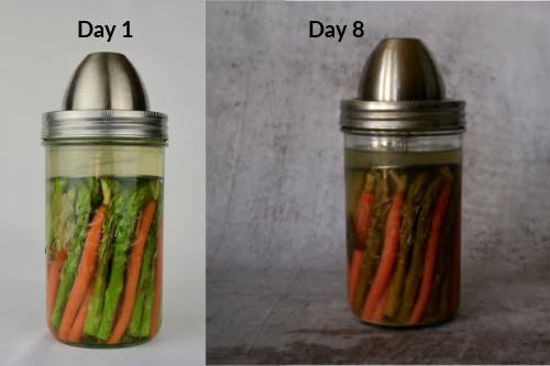 Fermented Asparagus and Carrots Day One to Eight