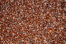 toddify cover image