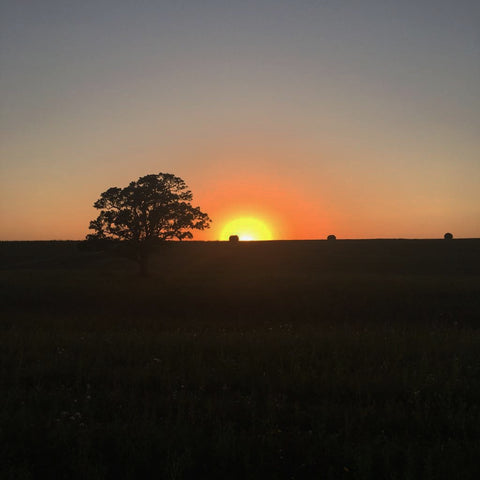 Prairie Love Sunset