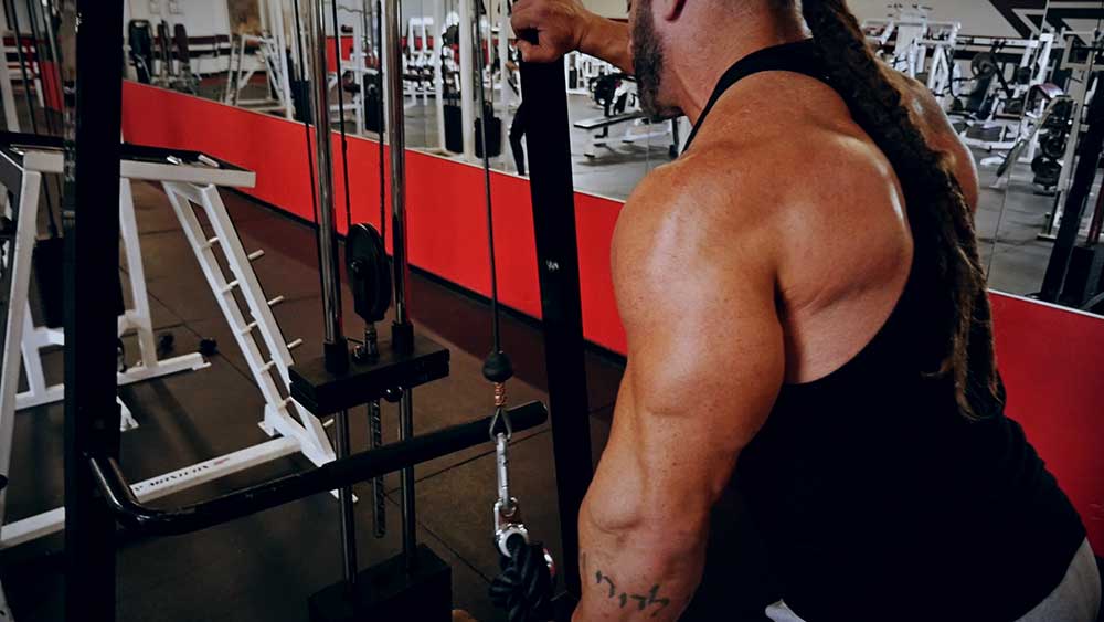 Arm-super-set-workout-Shawn-Lehner.00_11_41_12