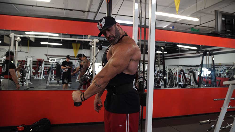 Triceps workout single arm rope extensions