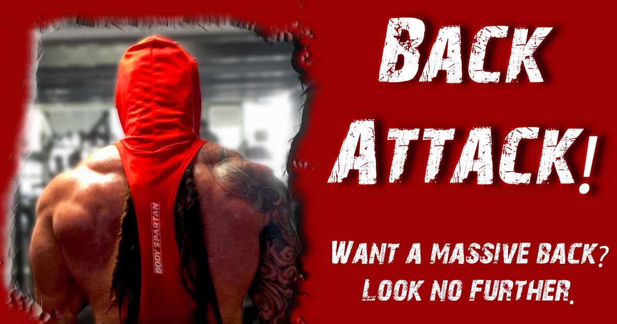 Back workouts with Body Spartan