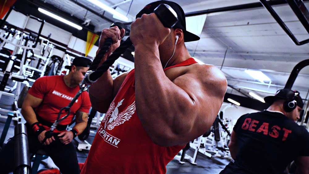 Rope hammer curls for shoulder and arms workout