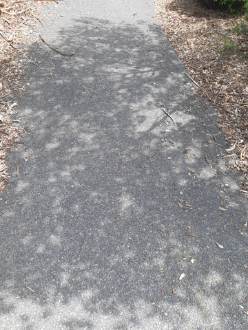 tree branch shadows on a path