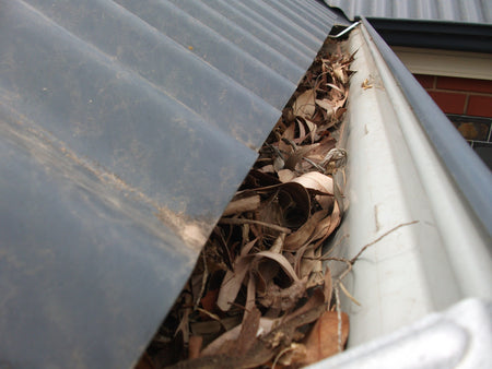 Gutter full of leafs