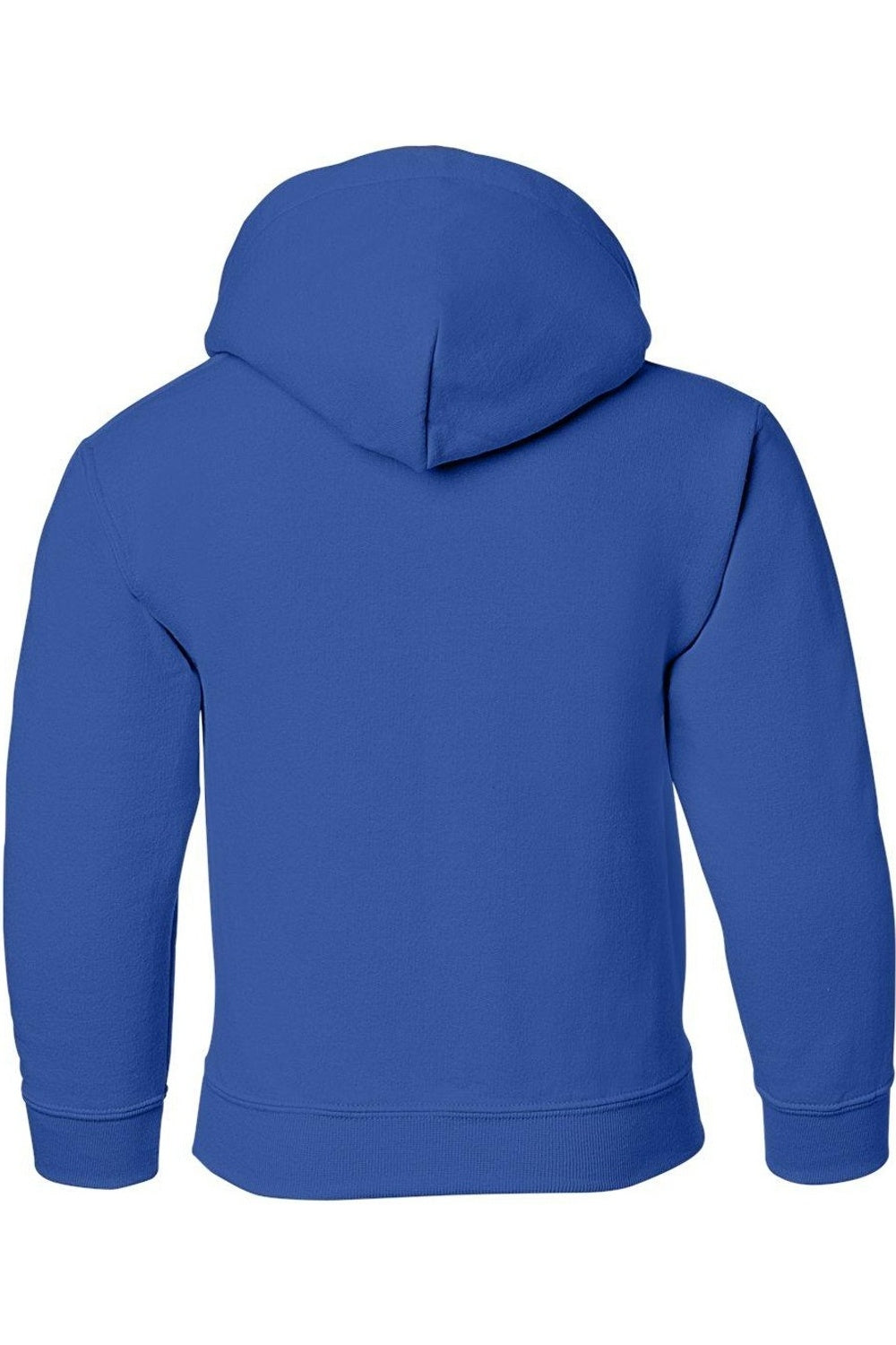 Looney Tunes Tweety Swirl Youth Pull Over Hoodie / Hooded Sweatshirt