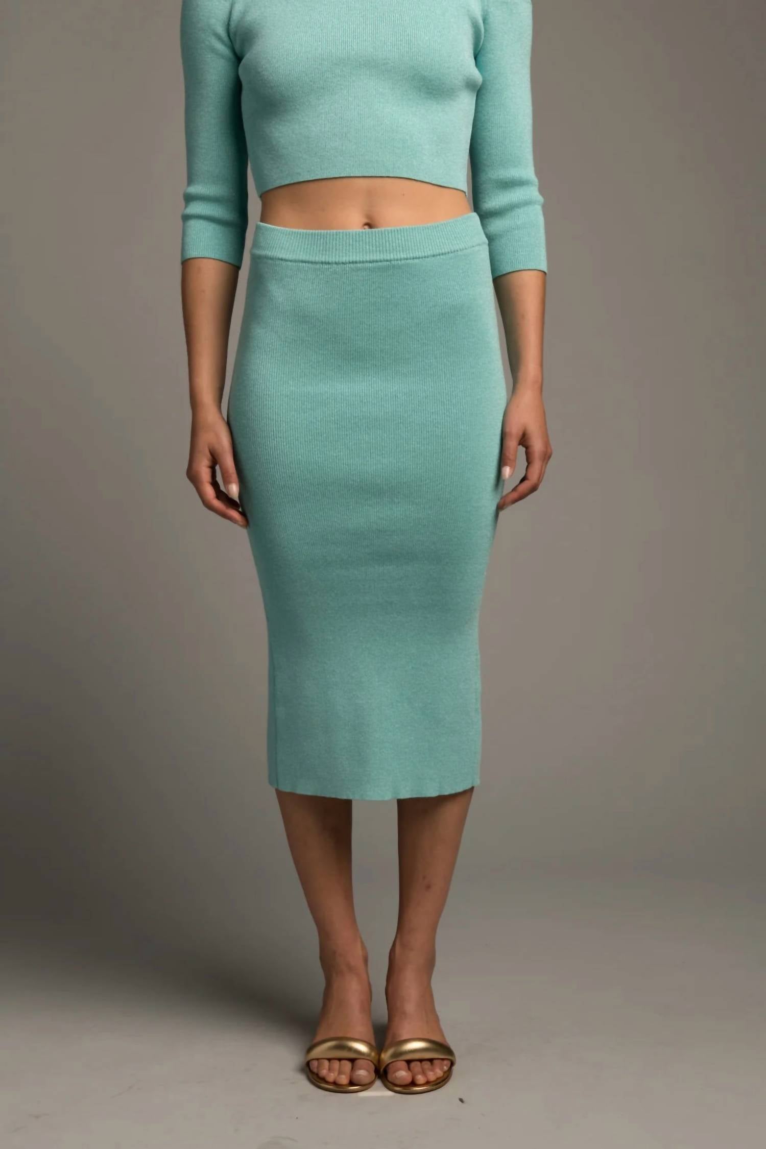 Shop Le Superbe Knit Pick Skirt In Aqua Shine In Blue