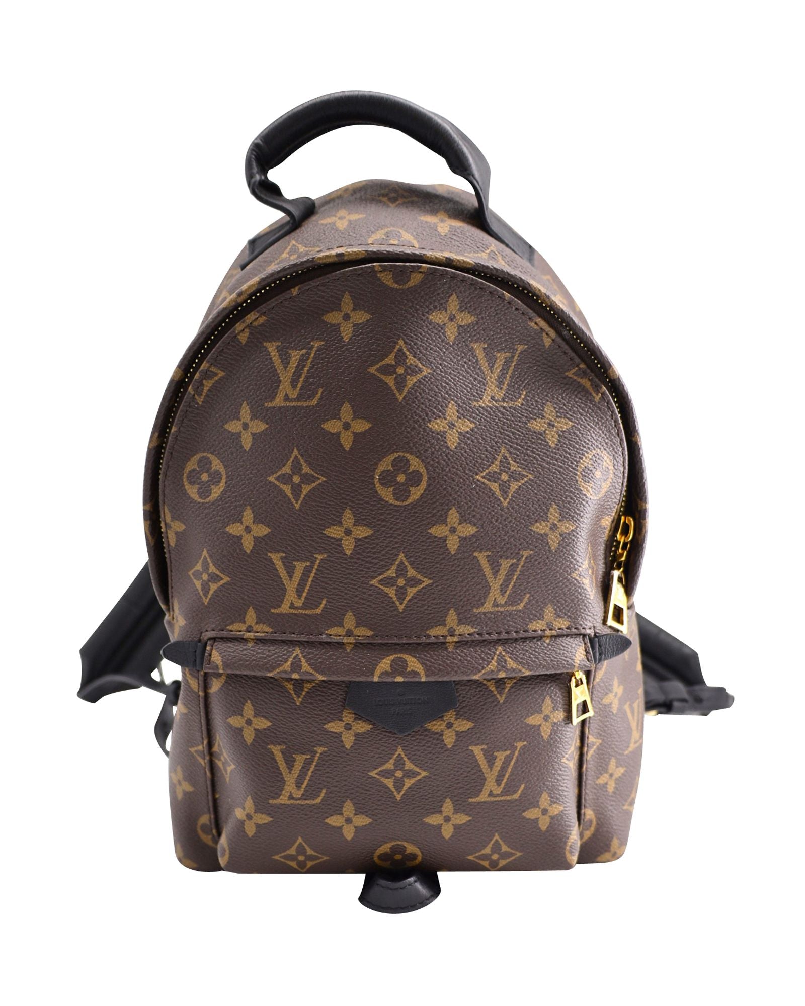 Image of Louis Vuitton Monogram Palm Springs PM Backpack in Brown Coated Canvas